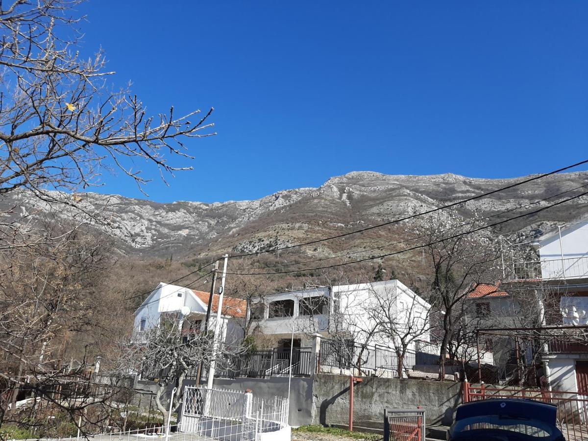 Forest House Sutomore Bagian luar foto